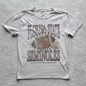 Hollister Florida State Seminoles Graphic Tee